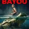 The Bayou