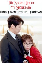 The Secret Life Of My Secretary