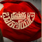 Pravasa Bharatheeyudu (2025) Telugu HD Watch Online