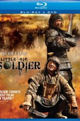 Little Big Soldier