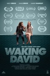 Waking David (2016) – SBL